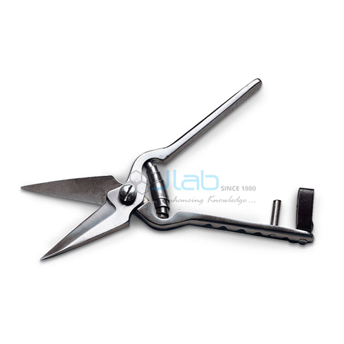Foot Root Shear