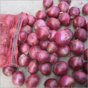 प्याज