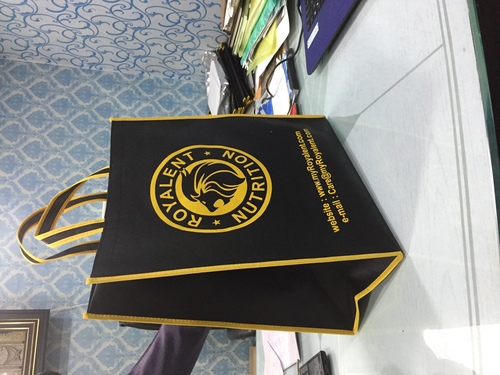 हैंड स्टिच नॉन वॉवन बैग