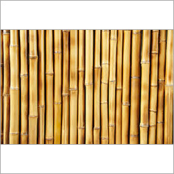 बाँस के खंभे