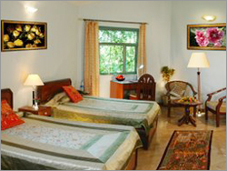 डे luxe ट्विन रूम