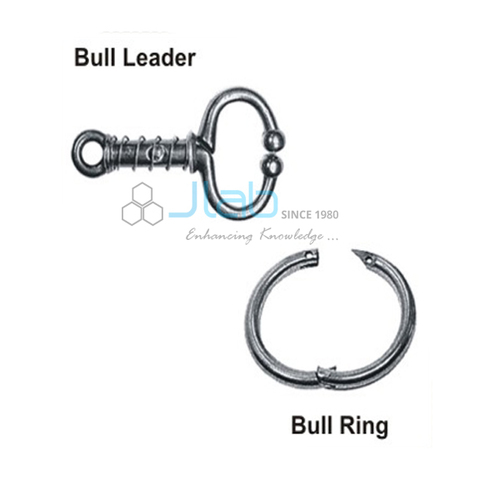 Bull Leader & Bull Ring