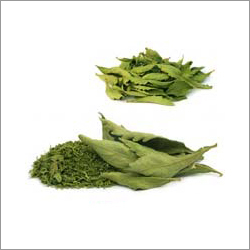 Stevia Dry Leaves