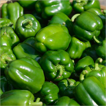 ताज़ा हरा शिमला मिर्च