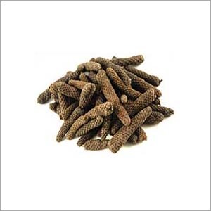 Pippali Extract