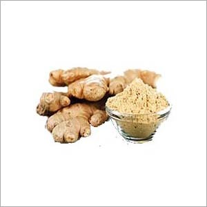 Ginger Extract - Powder Form, Beige Color | Solvent Extracted, Bulk Packaging, Cool & Dry Storage, 12 Months Shelf Life