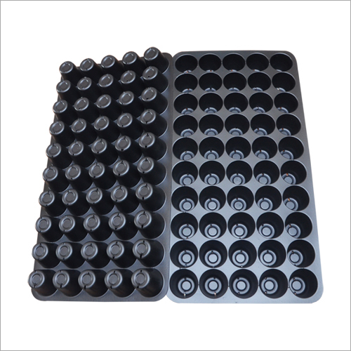 सीड्लिंग ट्रे