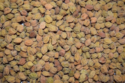 Desi Chana - Cultivation Type: Organic