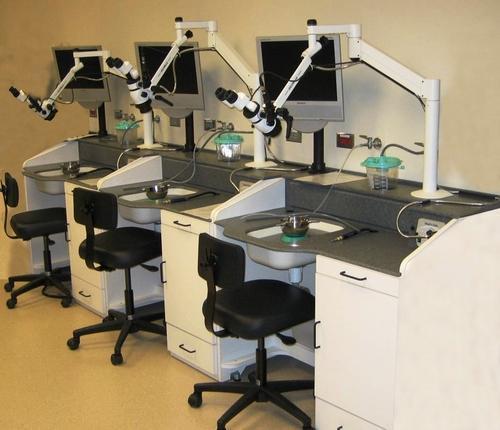 Temporal Bone Laboratory