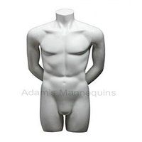 Male Torso Age Group: Adults