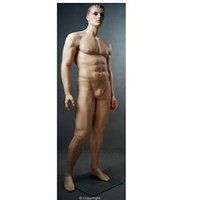 Male Realistic Mannequin Age Group: Adults