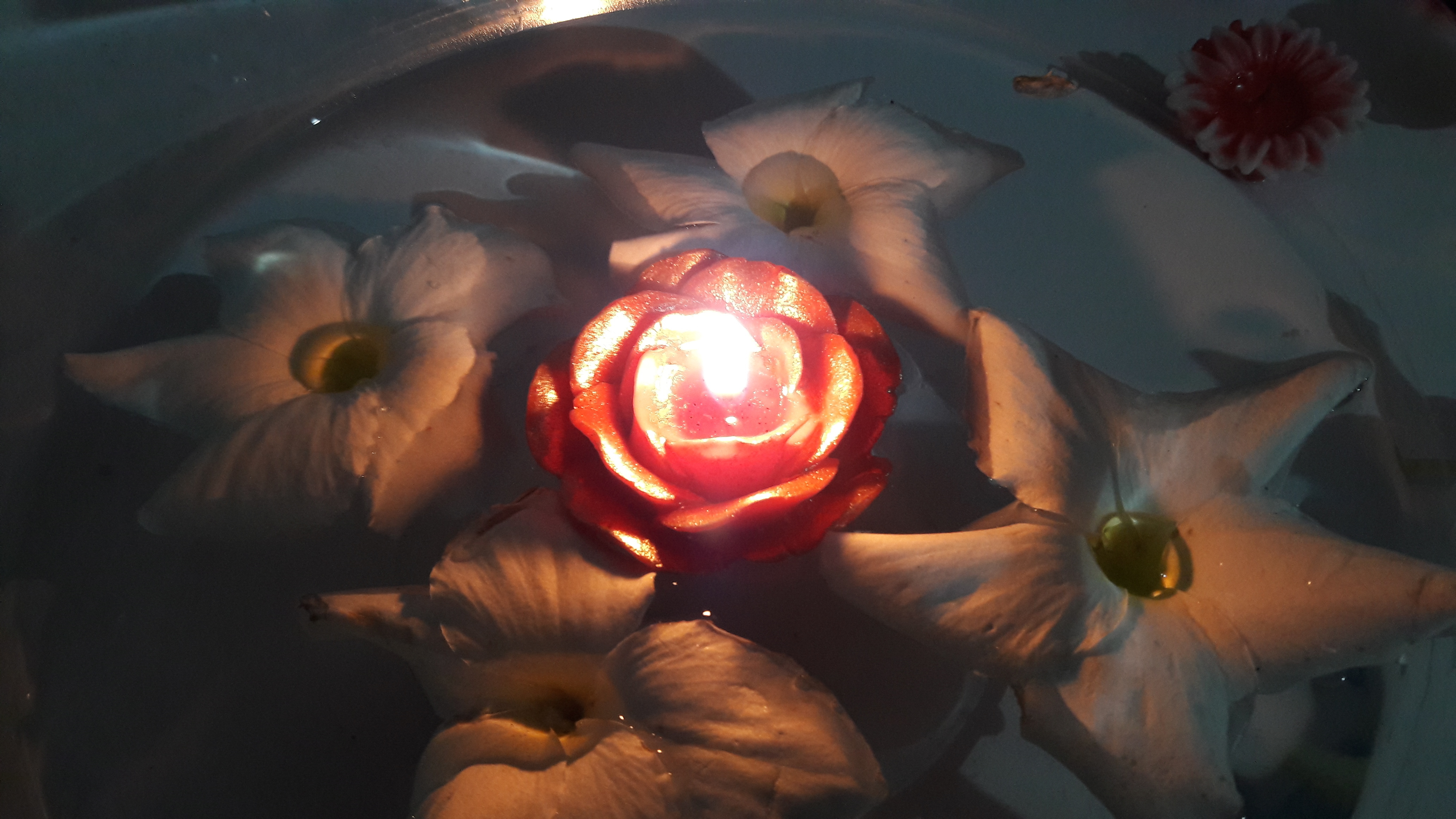 Floating Rose Candles - Wax, Variable Dimensions, Red Color | Lightweight, Smokeless, Elegant Design, Creates Romantic Ambiance