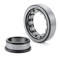 Cylindrical Roller Bearing Nu 221 Bore Size: 10-260mm