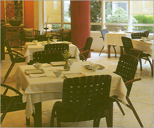 शीरवेव स्टाइल 1000