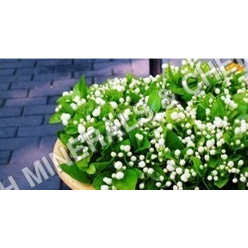 मोगरा अगरबत्ती खुशबू