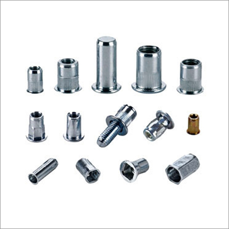 Rivet Nut - Stainless Steel, 1-3 Inch Size | Polished Finish, Durable for Aerospace, Automotive, Marine Applications