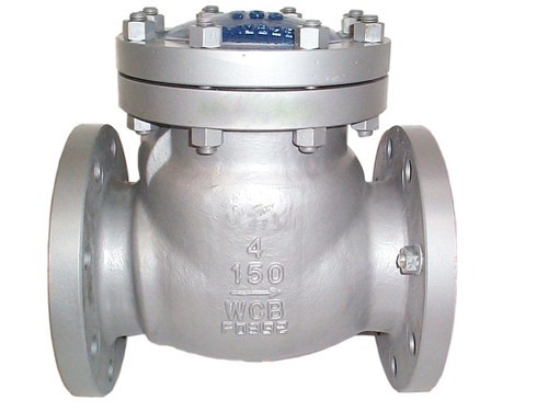 Swing Check Valve