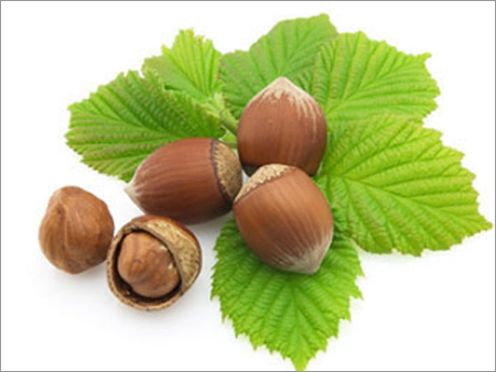Hazelnut