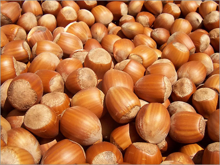 Hazelnut