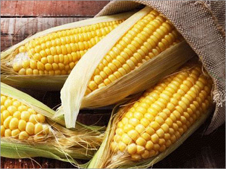 Dried Corn
