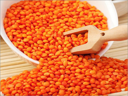 Red Lentil