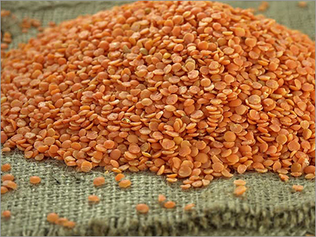 Red Lentil