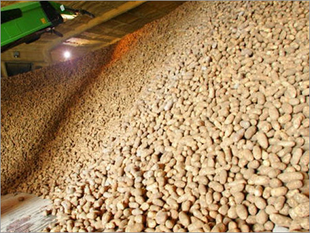 Fresh Potato - Russet Variety, Oval Shape, Variable Size, Beige Color | Fresh, Nutritious, Versatile, Natural, High Quality, Good Taste