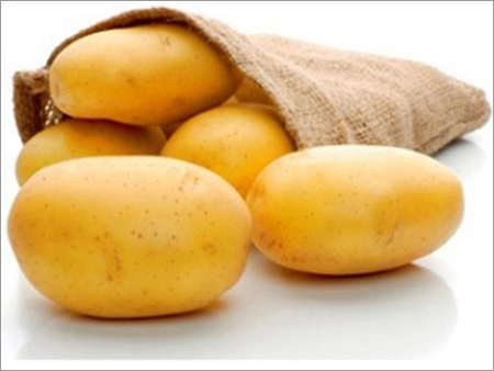 Fresh Potato - Russet Variety, Oval Shape, Variable Size, Beige Color | Fresh, Nutritious, Versatile, Natural, High Quality, Good Taste