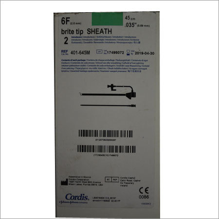 Long Sheath Catheter