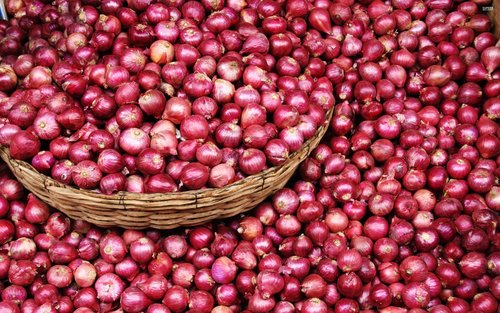 Red Onion