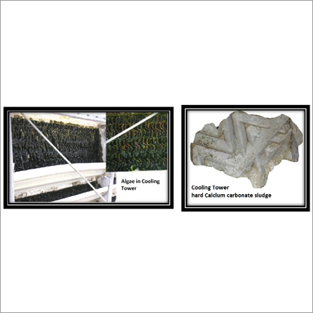 Green Algae And Scales Removing Solvent - Application: Recycling Water Treatment