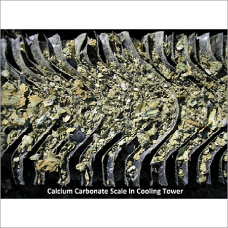 Green Algae And Scales Removing Solvent - Application: Recycling Water Treatment