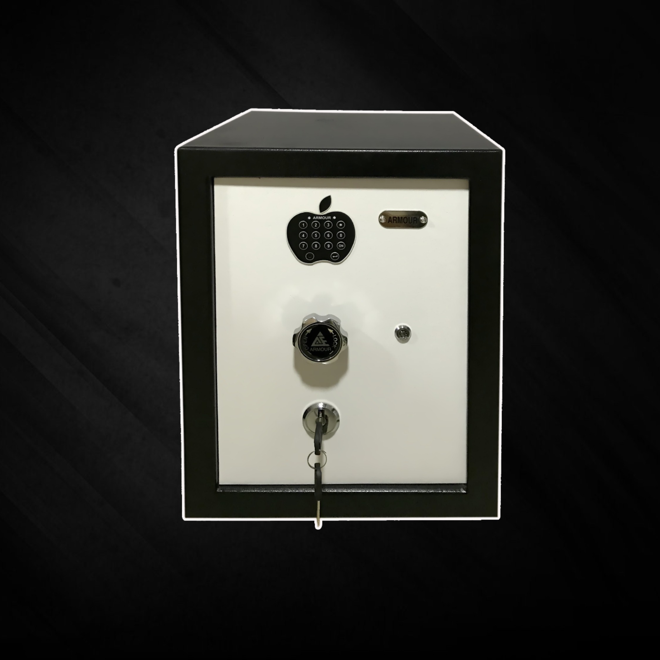 Biometric Safe
