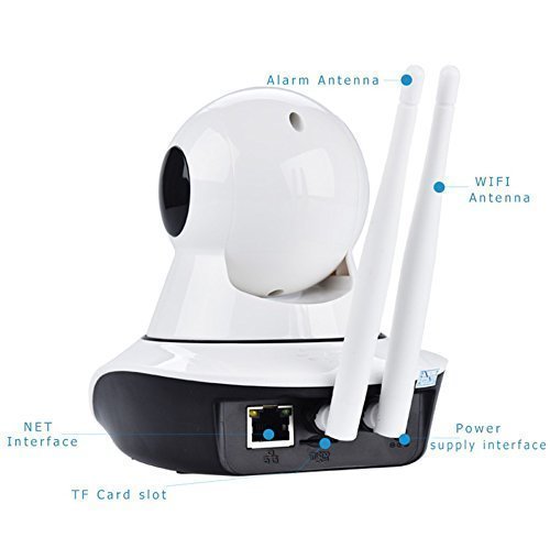 Dual Antenna Wifi Ip Camera