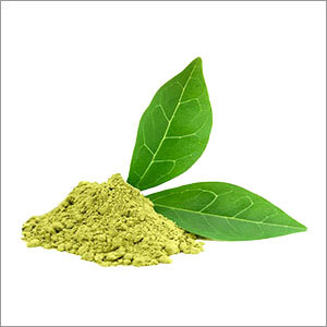 Green Tea Extract