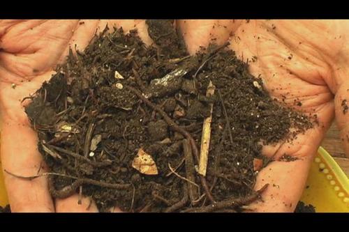 ऑर्गेनिक्स उर्वरक भारत