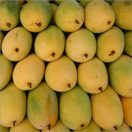 Neelam Mango