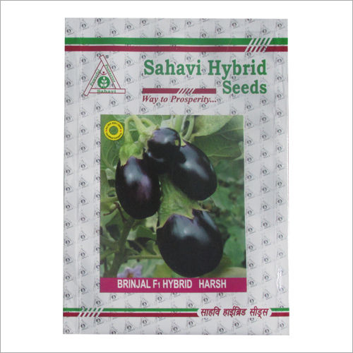 Dark Purple Brinjal F1 Hybrid Harsh