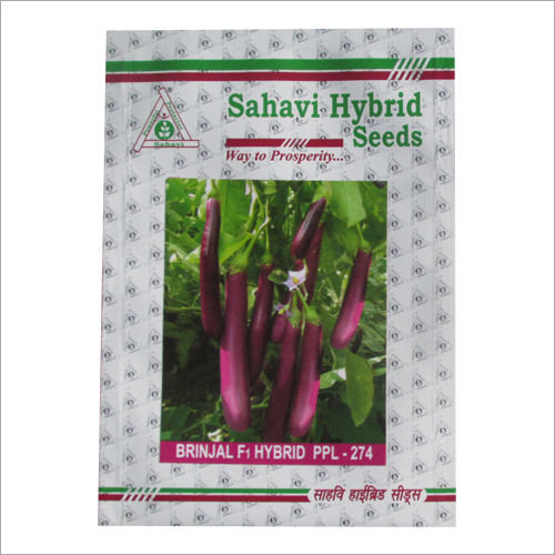 Purple Brinjal F1 Hybrid Ppl 274