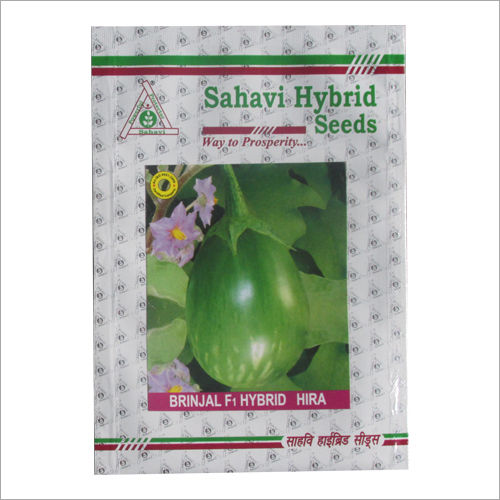 Green Brinjal F1 Hybrid Hira