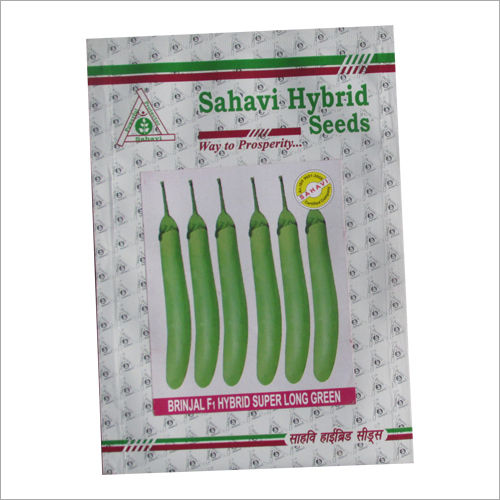 Vegetables Seeds Brinjal F1 Hybrid Super Long Green