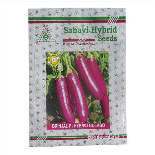 Pink And Purple Brinjal F1 Hybrid Gulabo