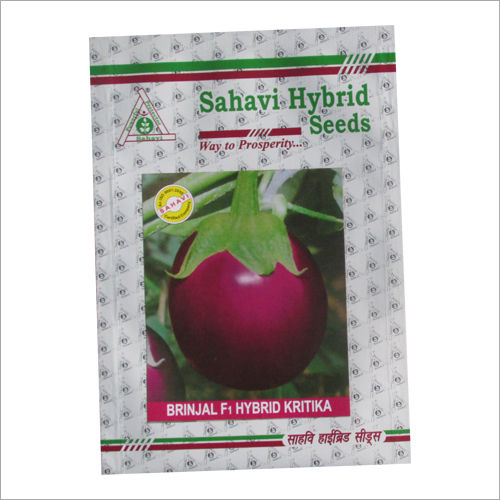 Pink And Purple Brinjal F1 Hybrid Kritika