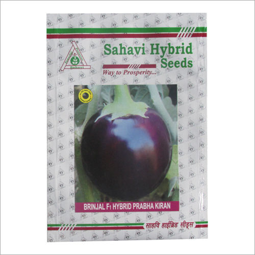 Purple Brinjal F1 Hybrid Prabha Kiran