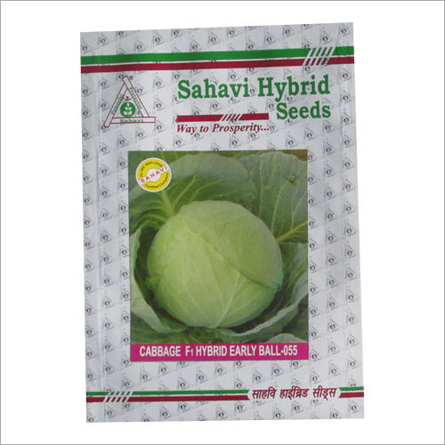 Green Cabbage F1 Hybrid Early Ball 055