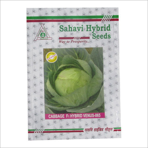 Green Cabbage F1 Hybrid Venus 065