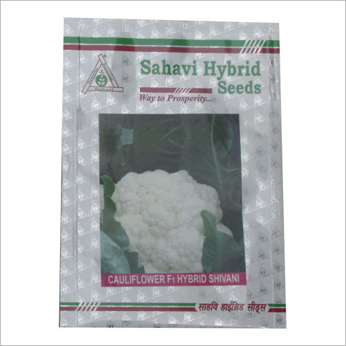 White And Green Cauliflower F1 Hybrid Shivani