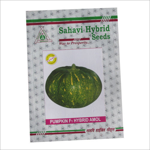 Green Pumpkin F1 Hybrid Amol