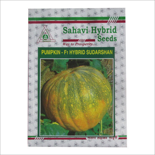 Green And Yellow Pumpkin F1 Hybrid Sudarshan