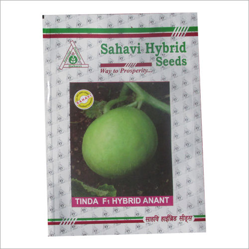 Green Tinda F1 Hybrid Anant